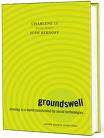 groundswell novel